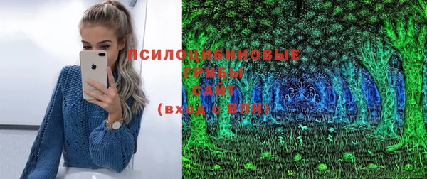 а пвп мука Богданович