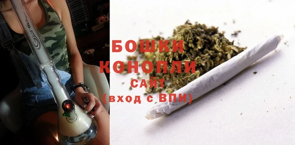 ПСИЛОЦИБИНОВЫЕ ГРИБЫ Богородск