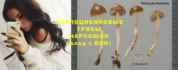 ПСИЛОЦИБИНОВЫЕ ГРИБЫ Богородск