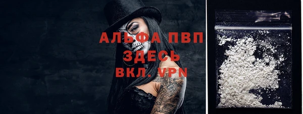 ПСИЛОЦИБИНОВЫЕ ГРИБЫ Богородск