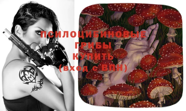гидропоника Белокуриха