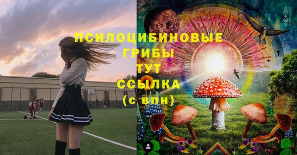 ПСИЛОЦИБИНОВЫЕ ГРИБЫ Богородск