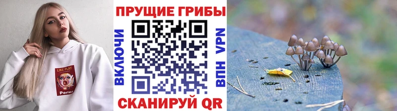 Галлюциногенные грибы мухоморы  что такое наркотик  Славгород 